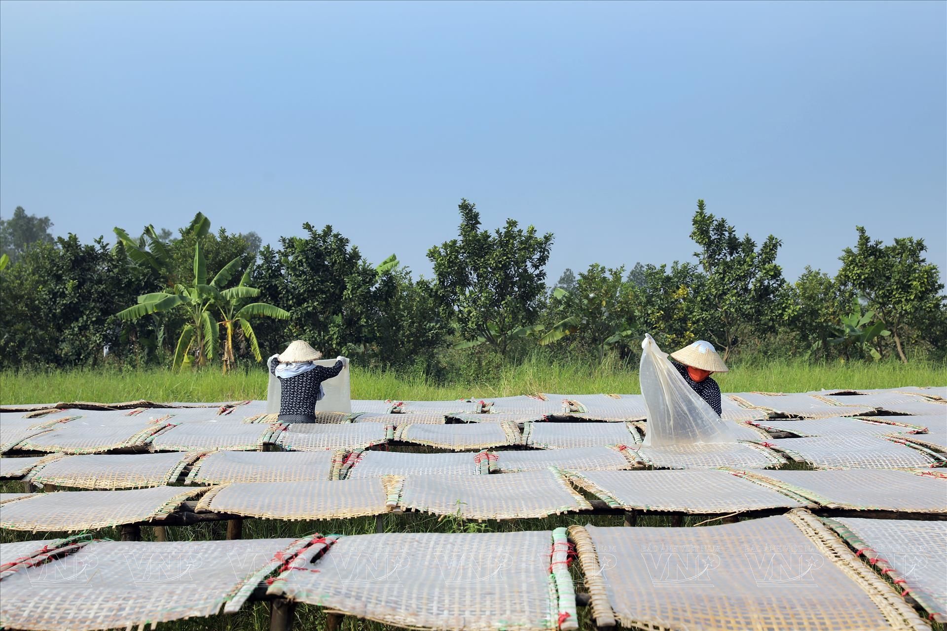 Làng Nghề Chế Biến Nông Sản Minh Khai