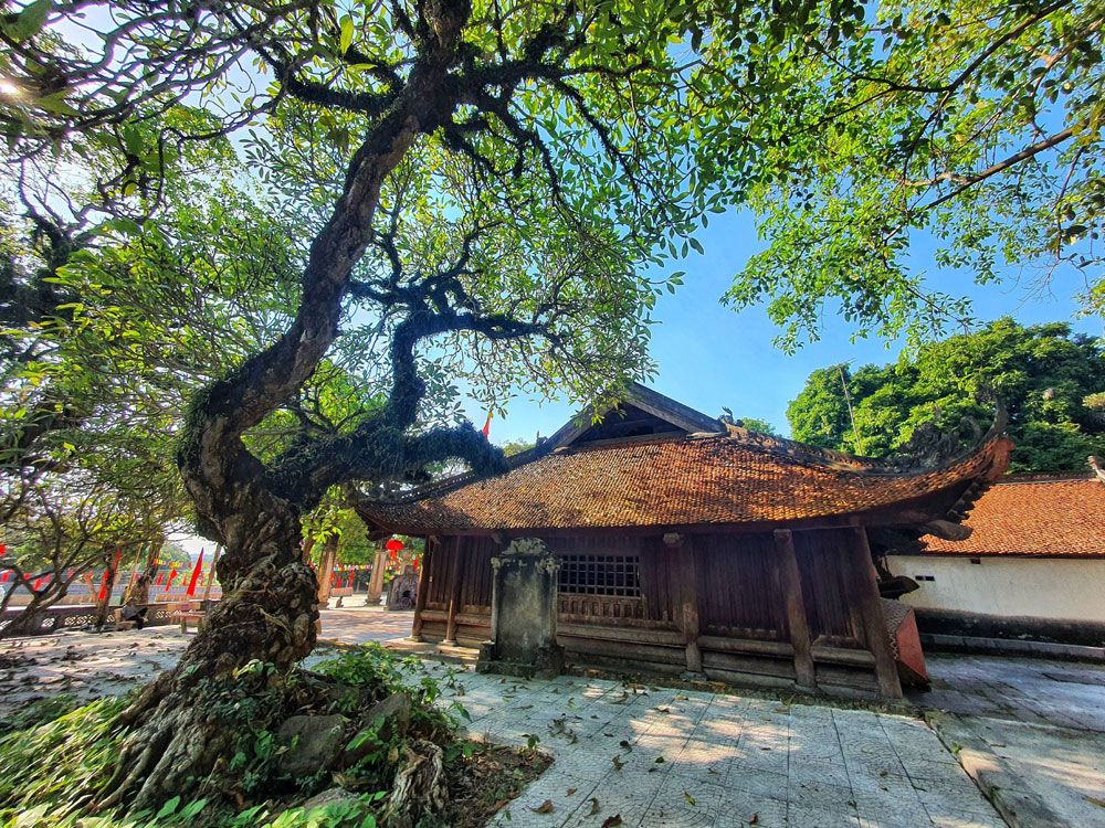 Nhà Ông Nguyễn Văn Chế (atk2)