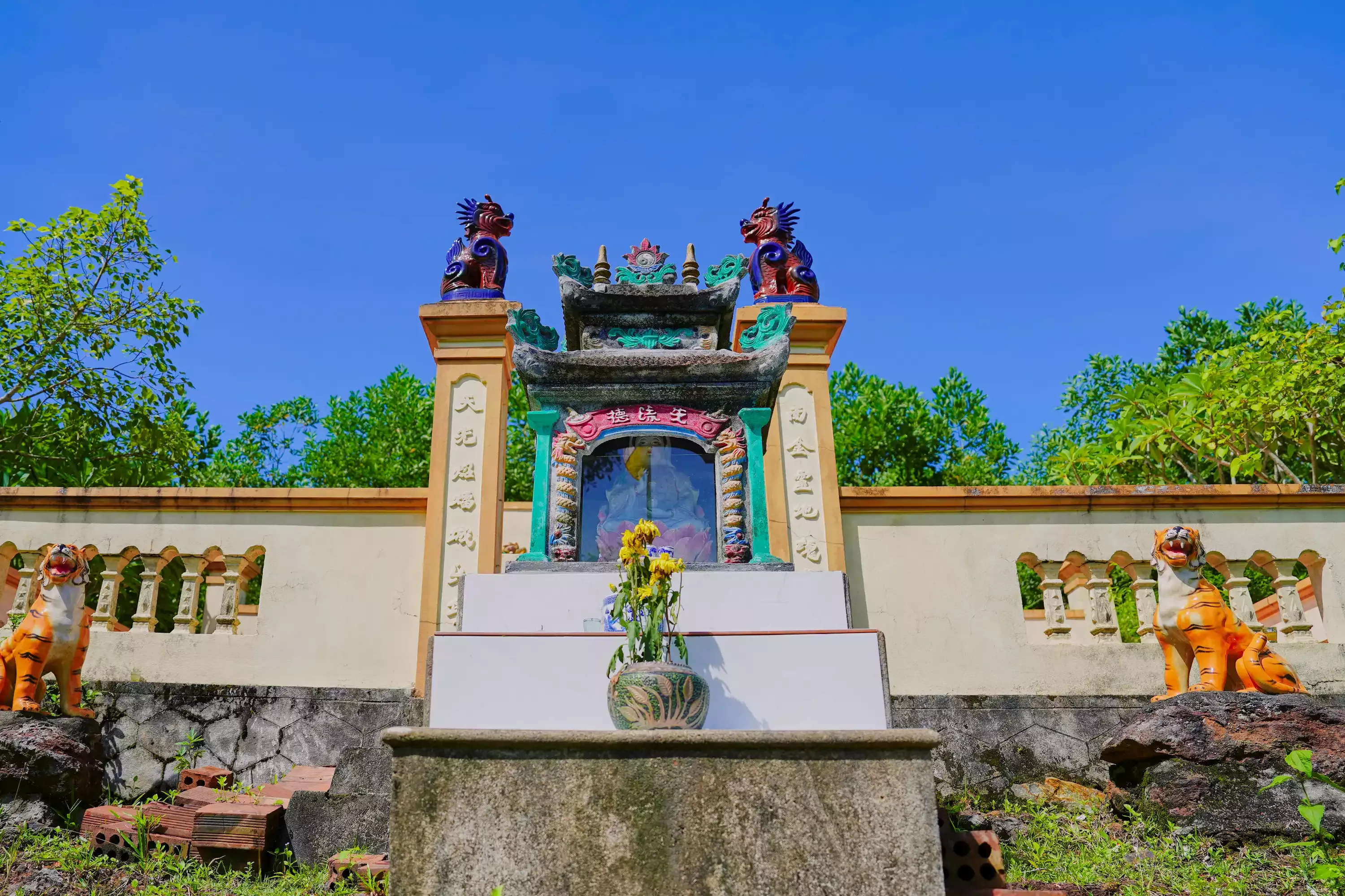 Giới thiệu