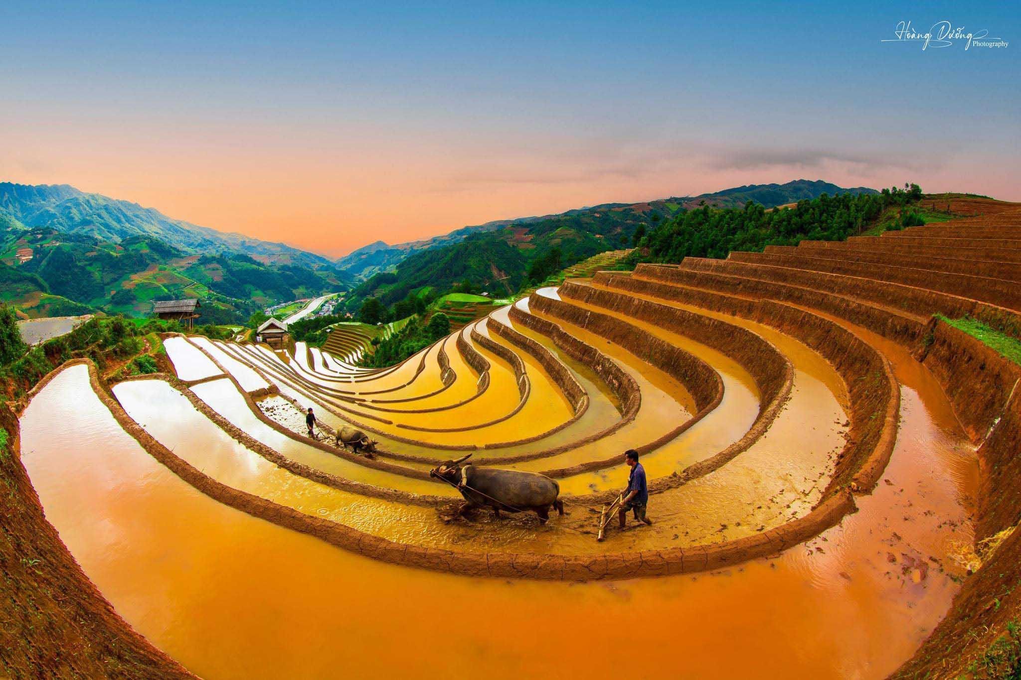 Ruộng Bậc Thang Mù Cang Chải