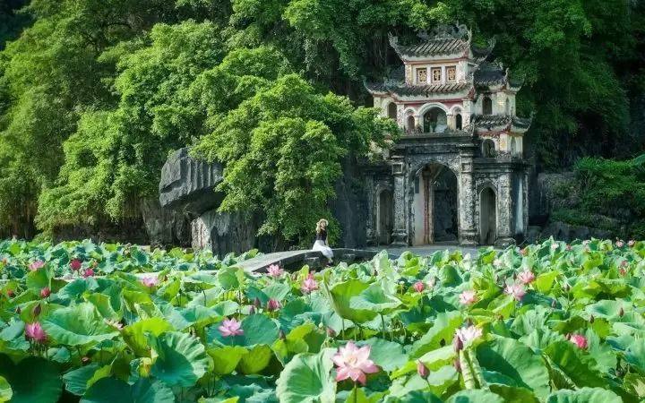 Động, Chùa Bích Động