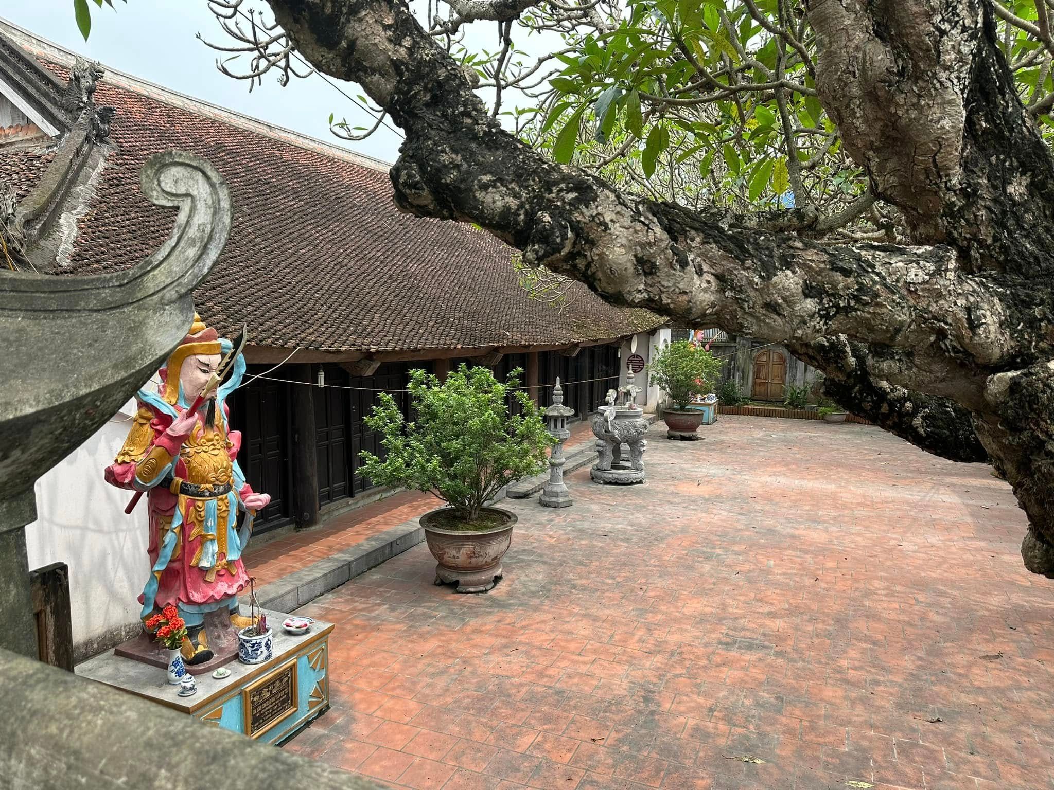 Đình Phù Lưu Thượng