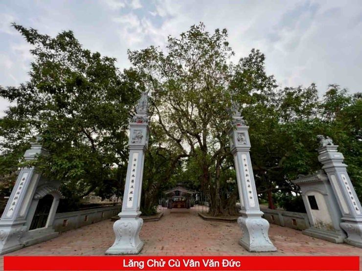 Giới thiệu