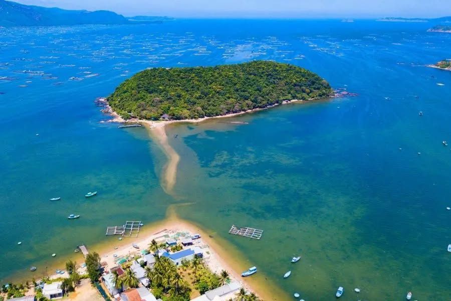 Giới thiệu