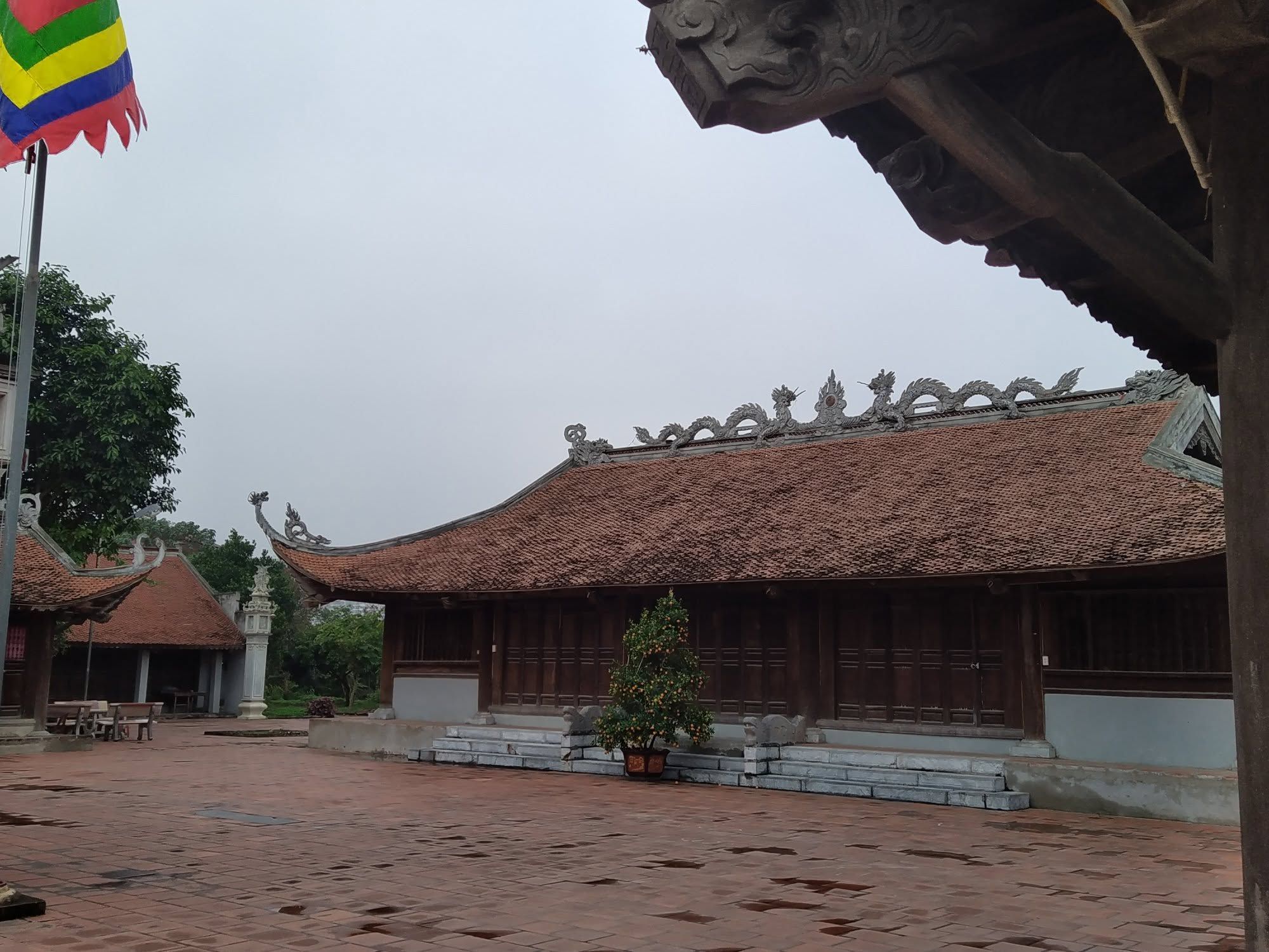 Giới thiệu