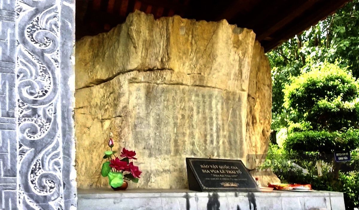 Giới thiệu