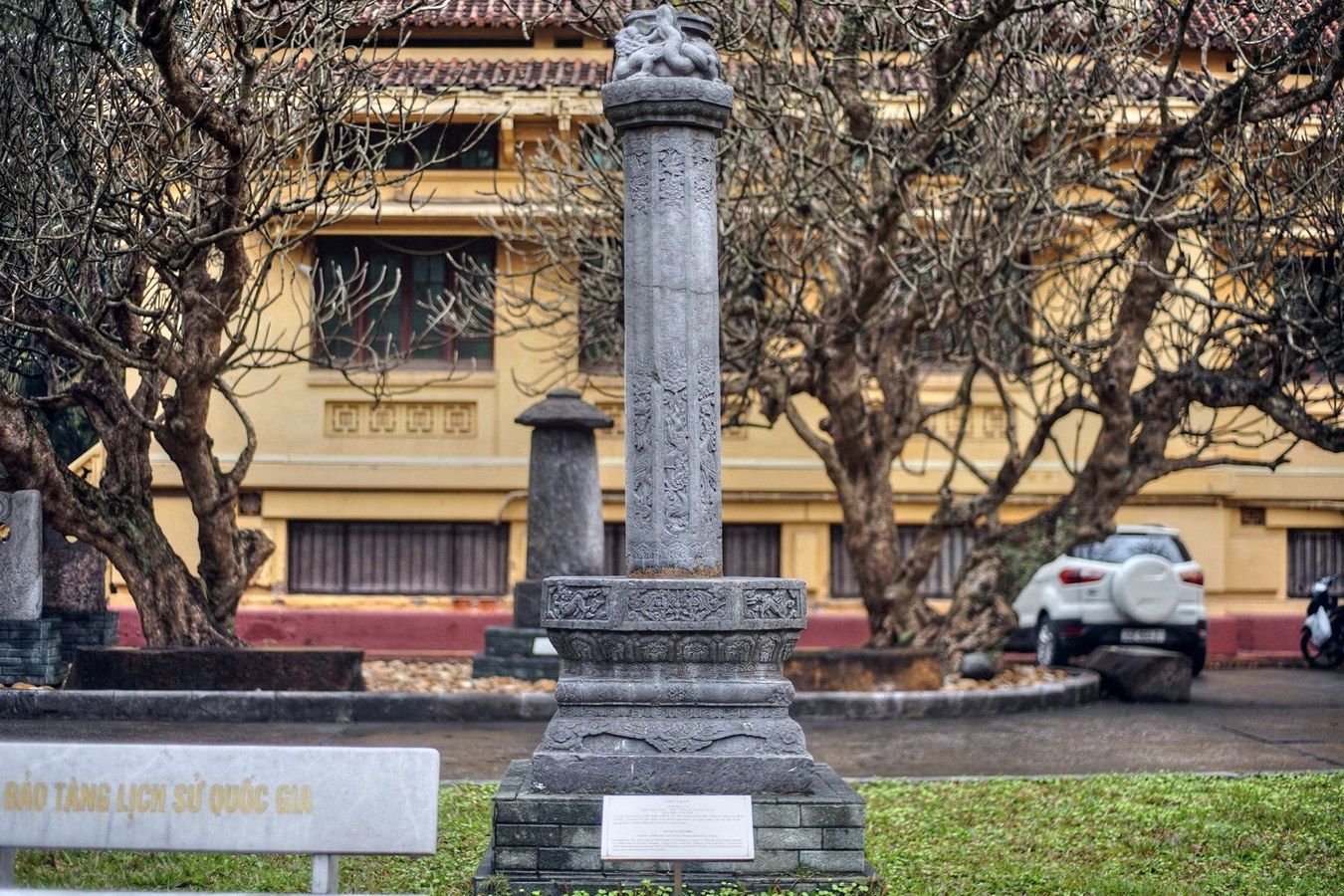 Cây hương chùa Tứ Kỳ