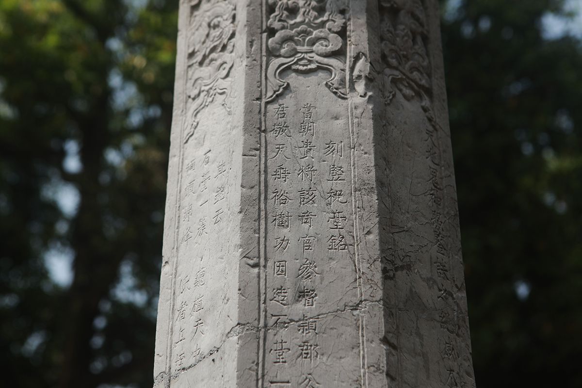 Thân cây hương