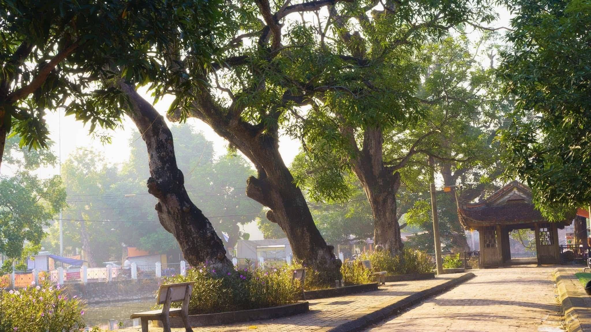 Đình Bình Vọng