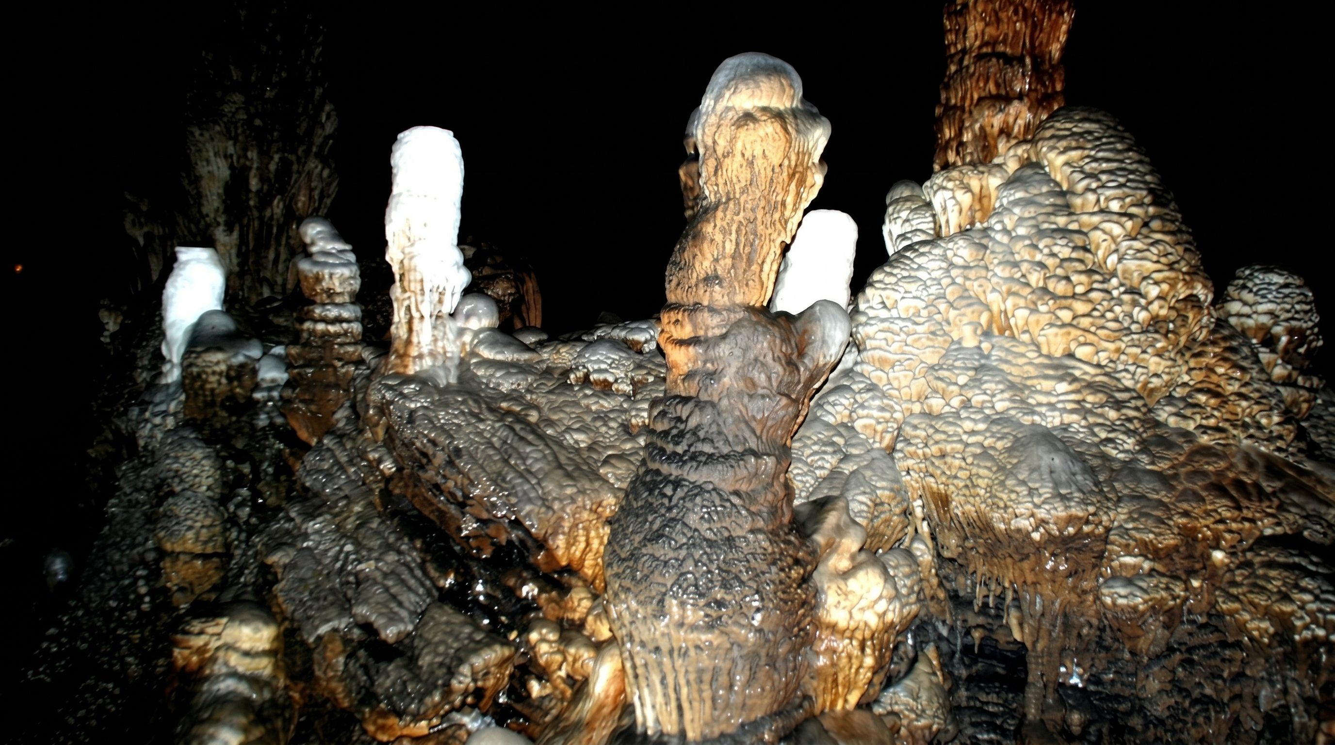 Động Dơi