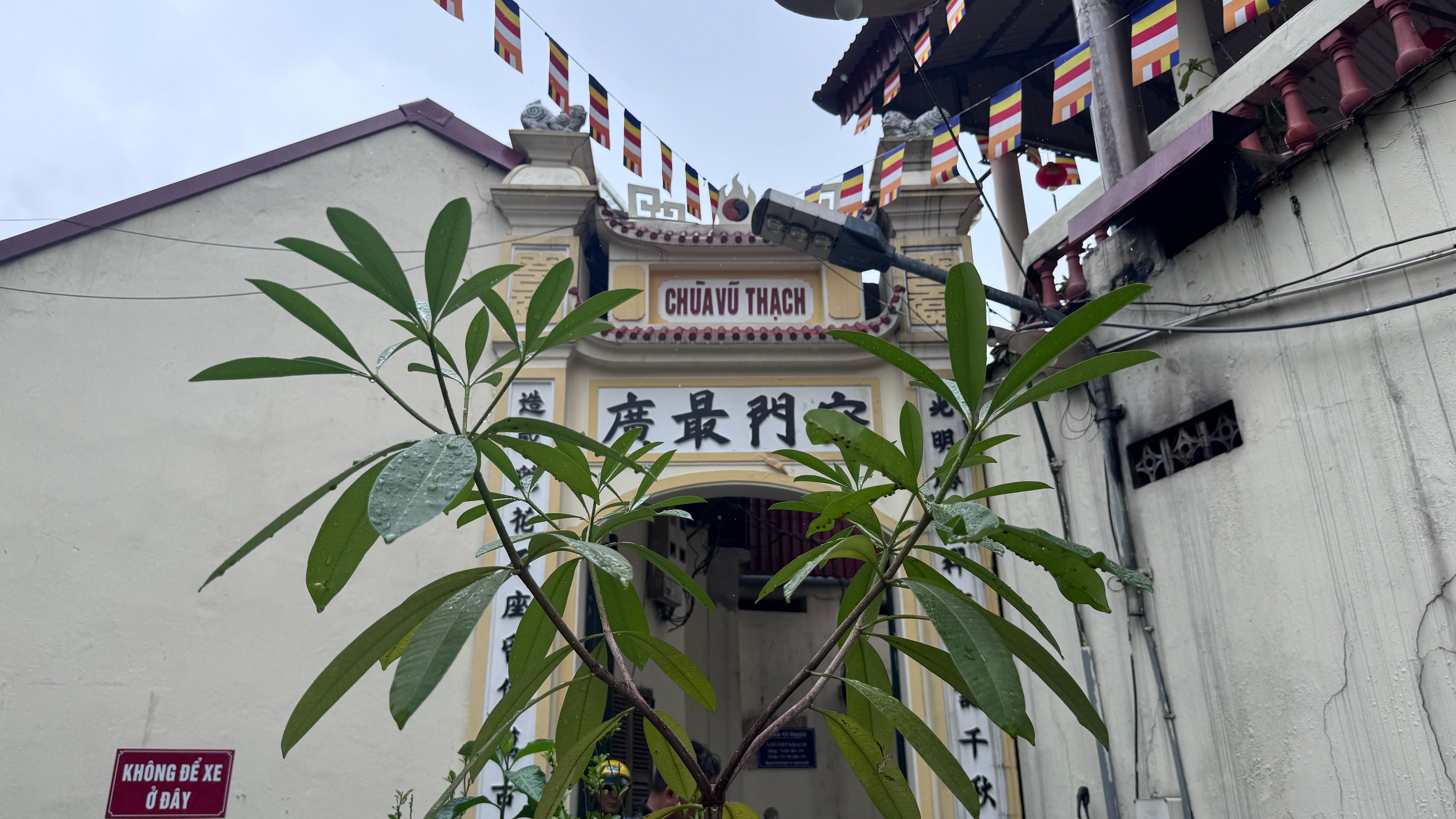 Cảnh quan bên ngoài cổng chùa Vũ Thạch