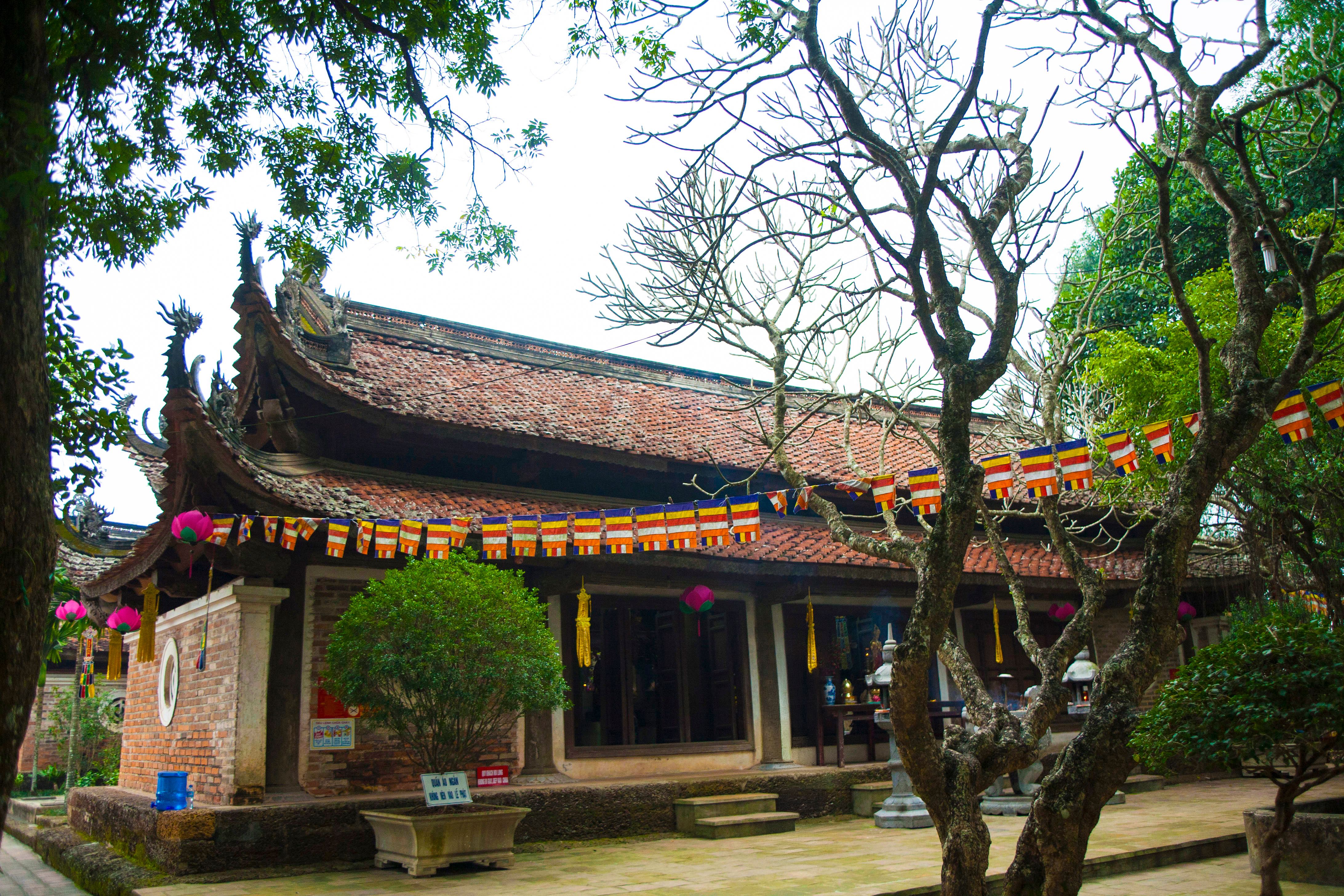 Giới thiệu