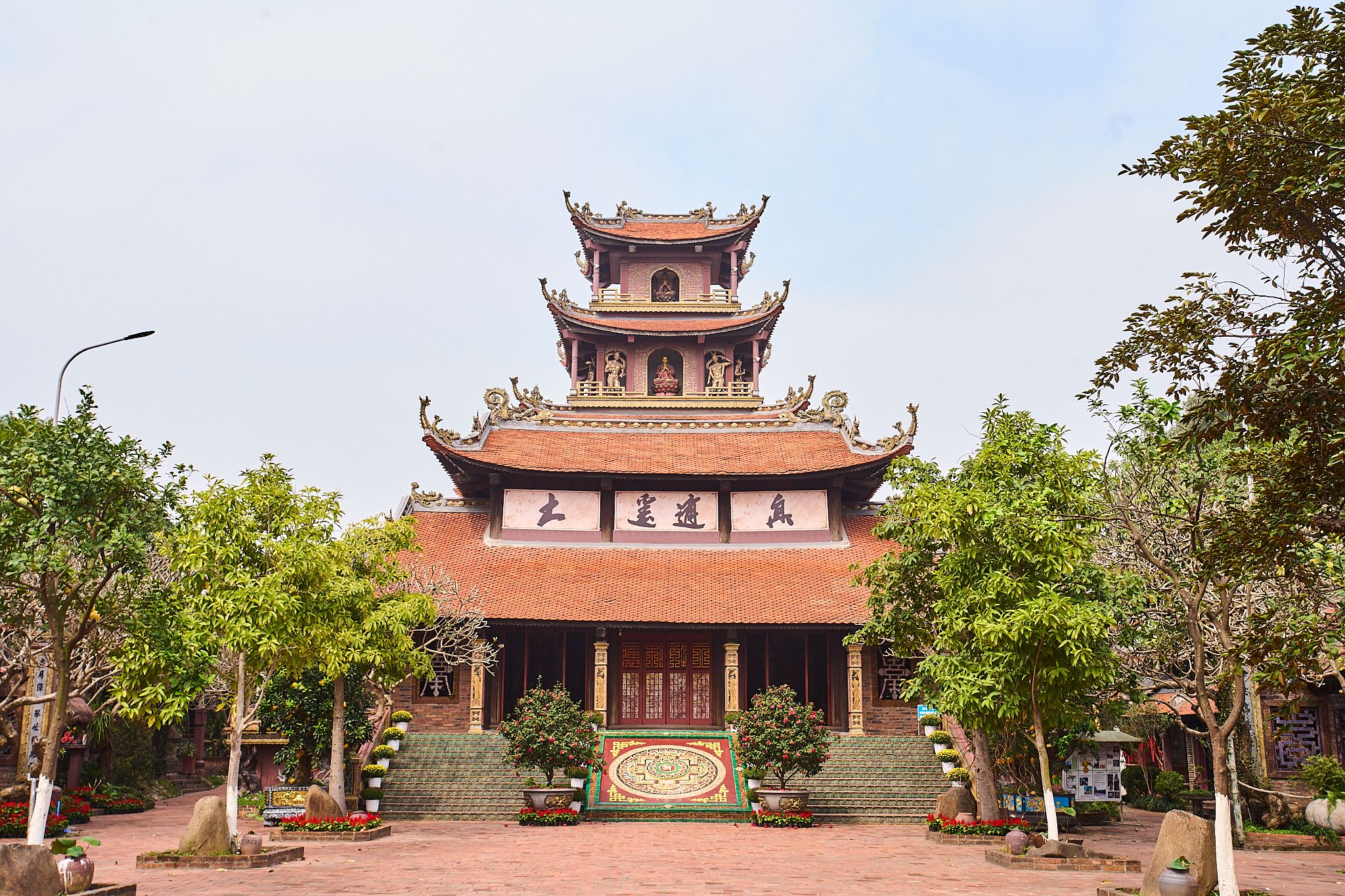 Giới thiệu