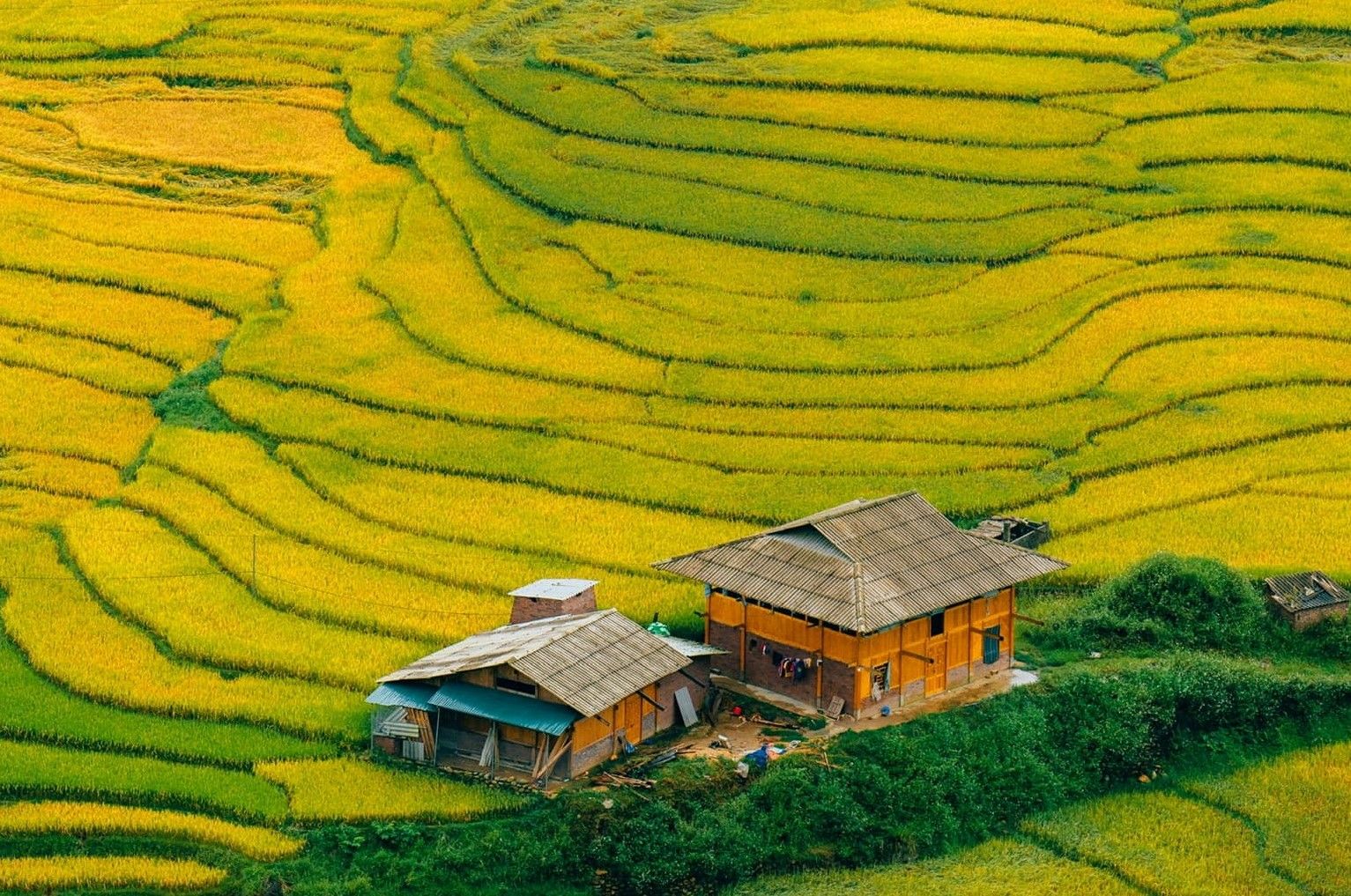Ruộng Bậc Thang Sa Pa
