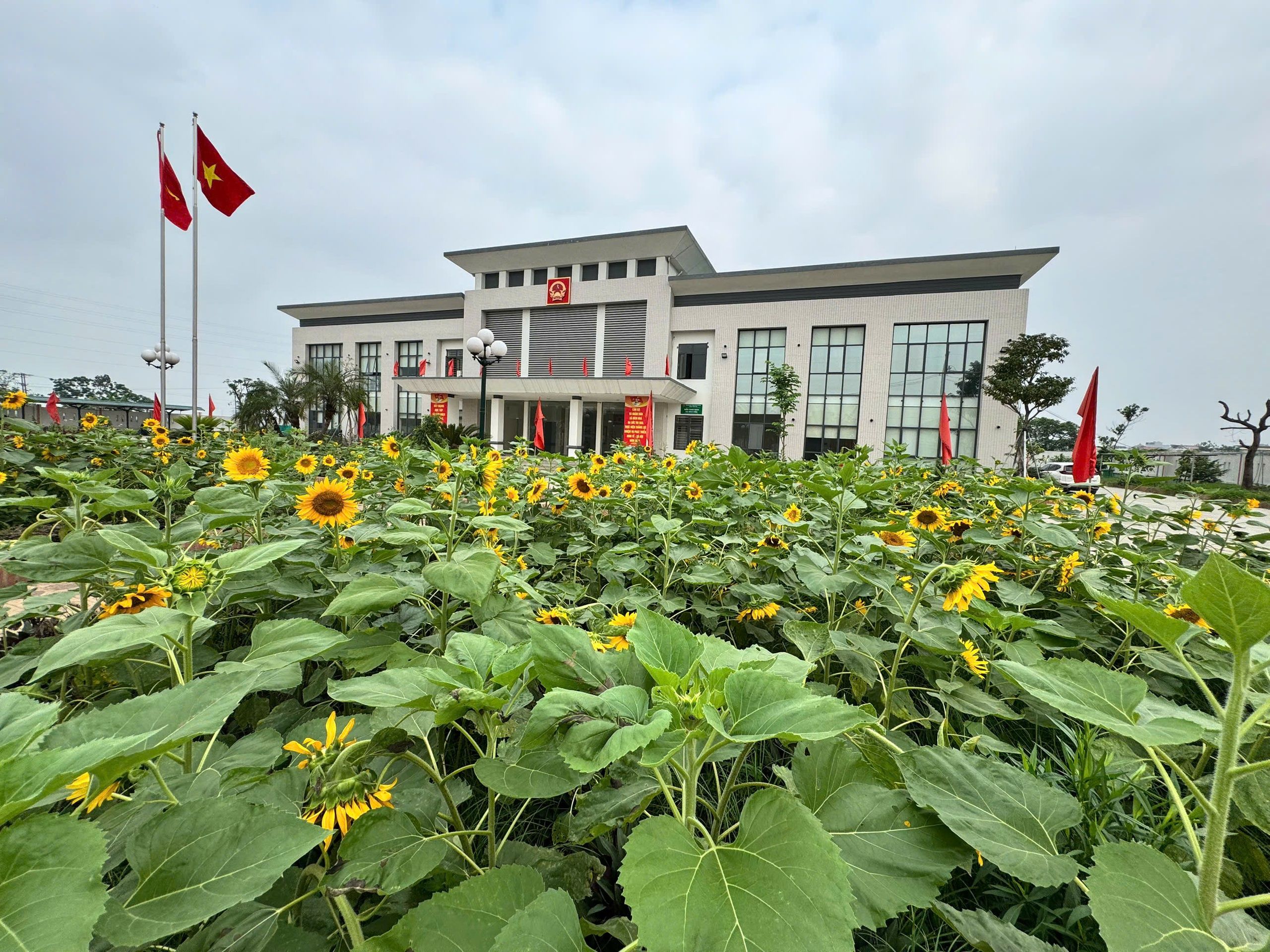Giới thiệu