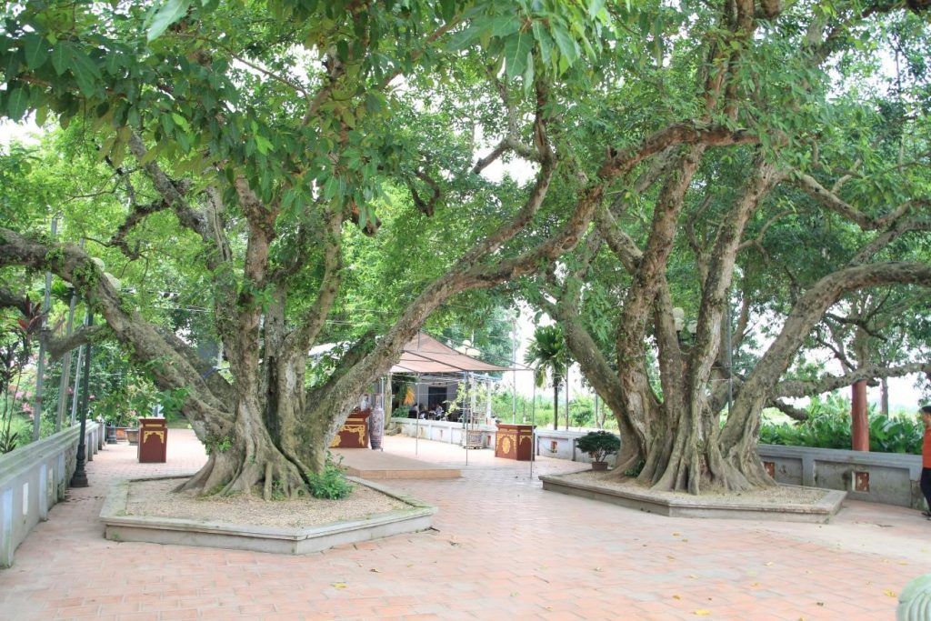Lăng Chử Cù Vân