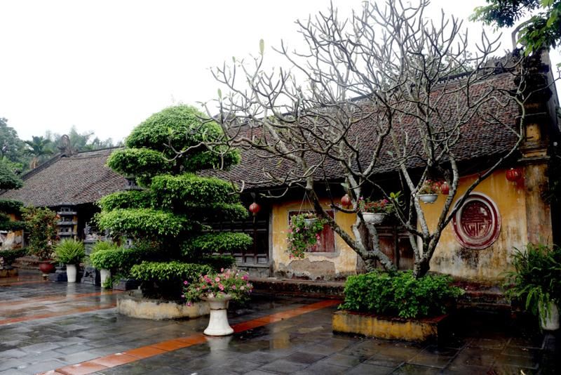 Tổng quan Chùa Thái Lạc
