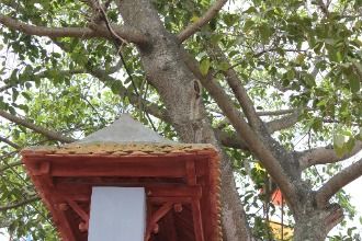 Tổng quan Chùa Kim Quan (chùa Chiền)