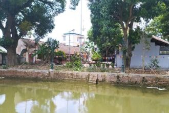 Tổng quan Chùa Dị Nậu