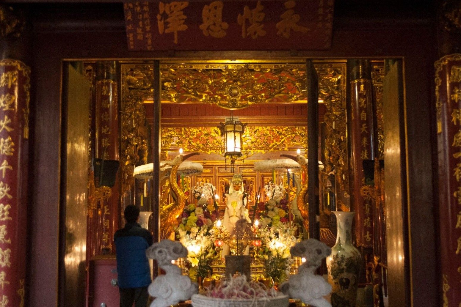 Giới thiệu