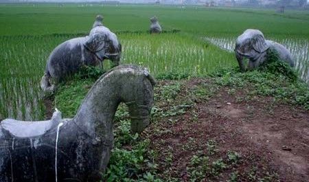 Tổng quan Mộ ông Quận 