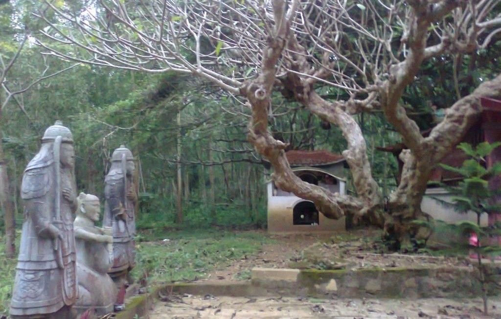 Tổng quan Lăng Đa Bút (Lăng bà Trịnh)