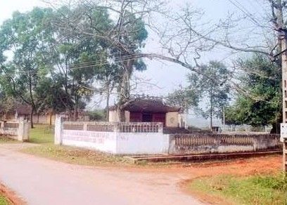 Tổng quan Đình Dĩnh Thép