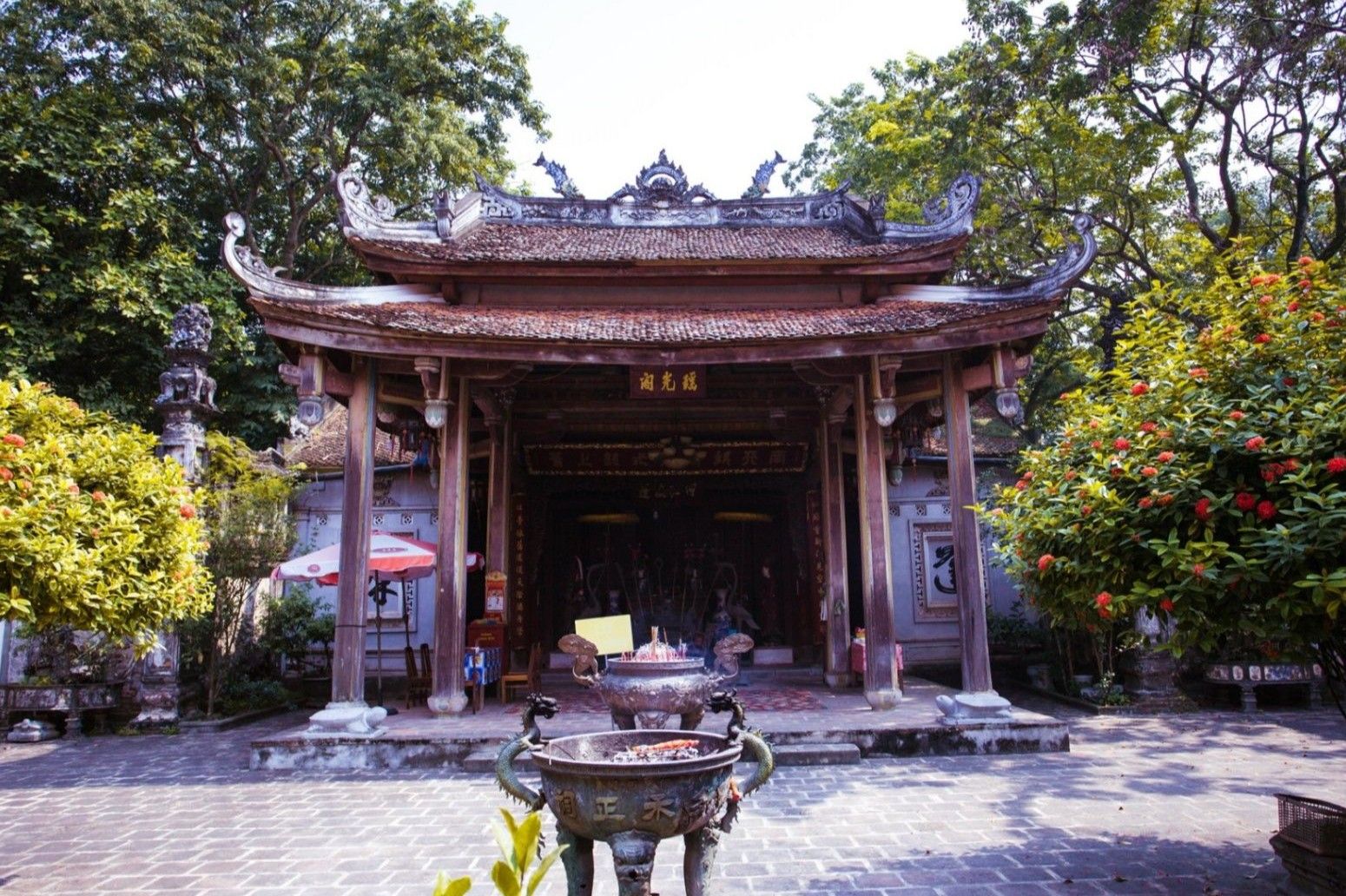 Giới thiệu