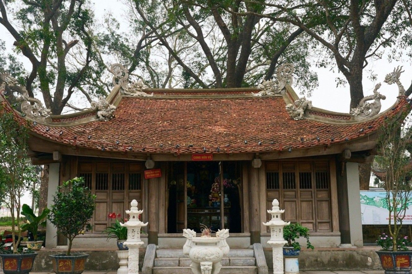 Giới thiệu