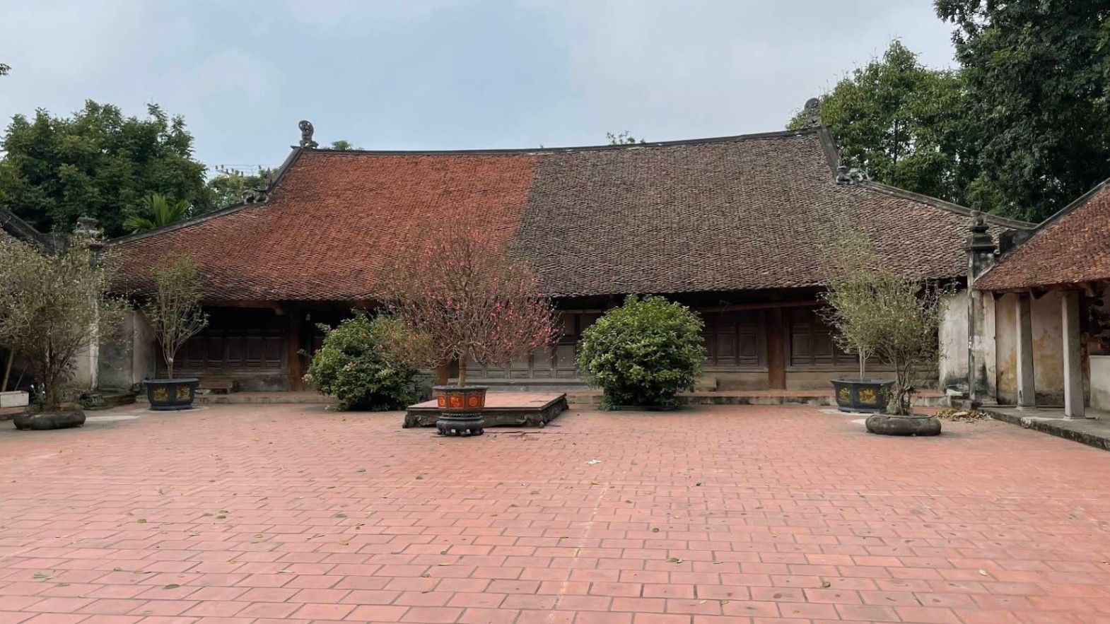 Giới thiệu