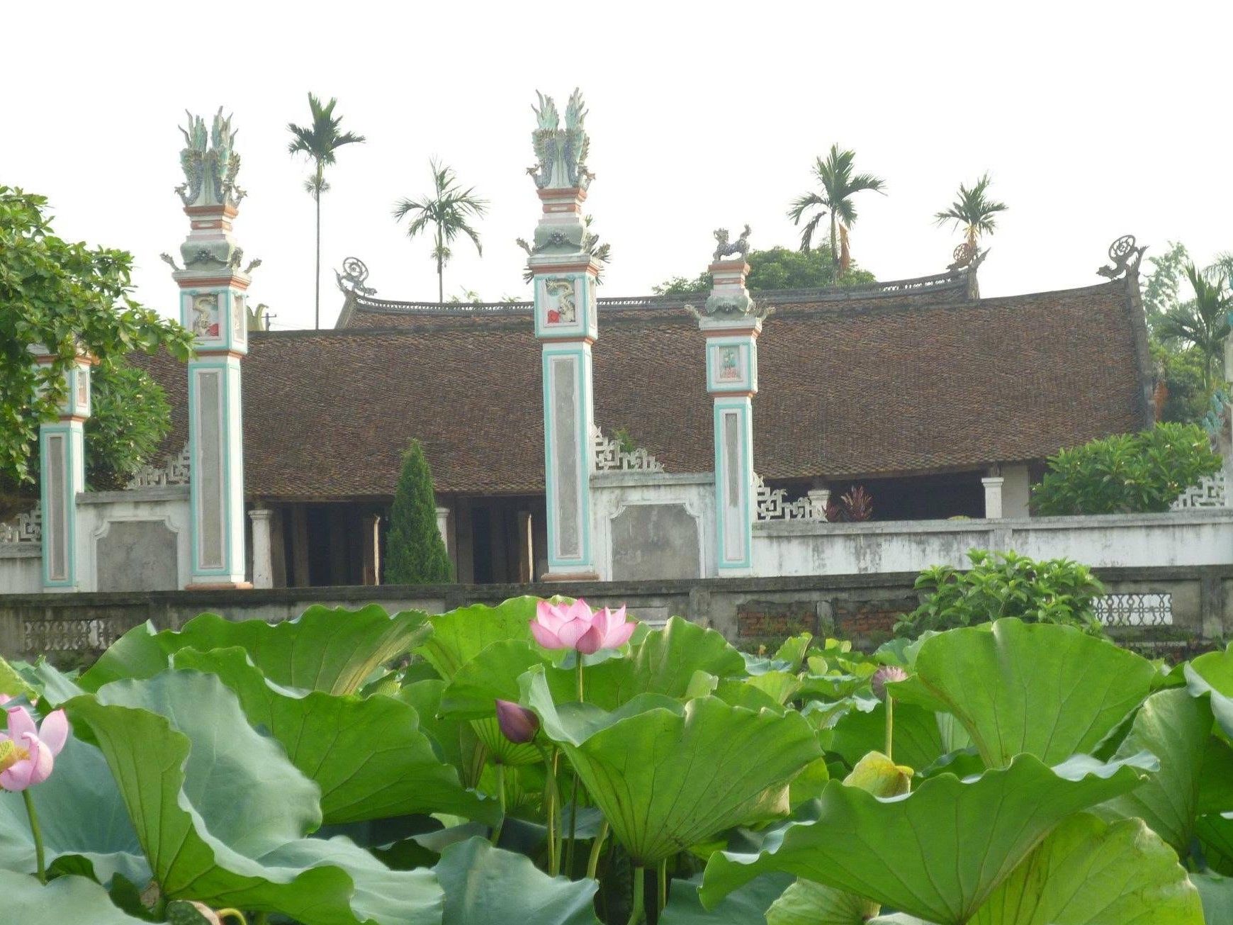 Giới thiệu