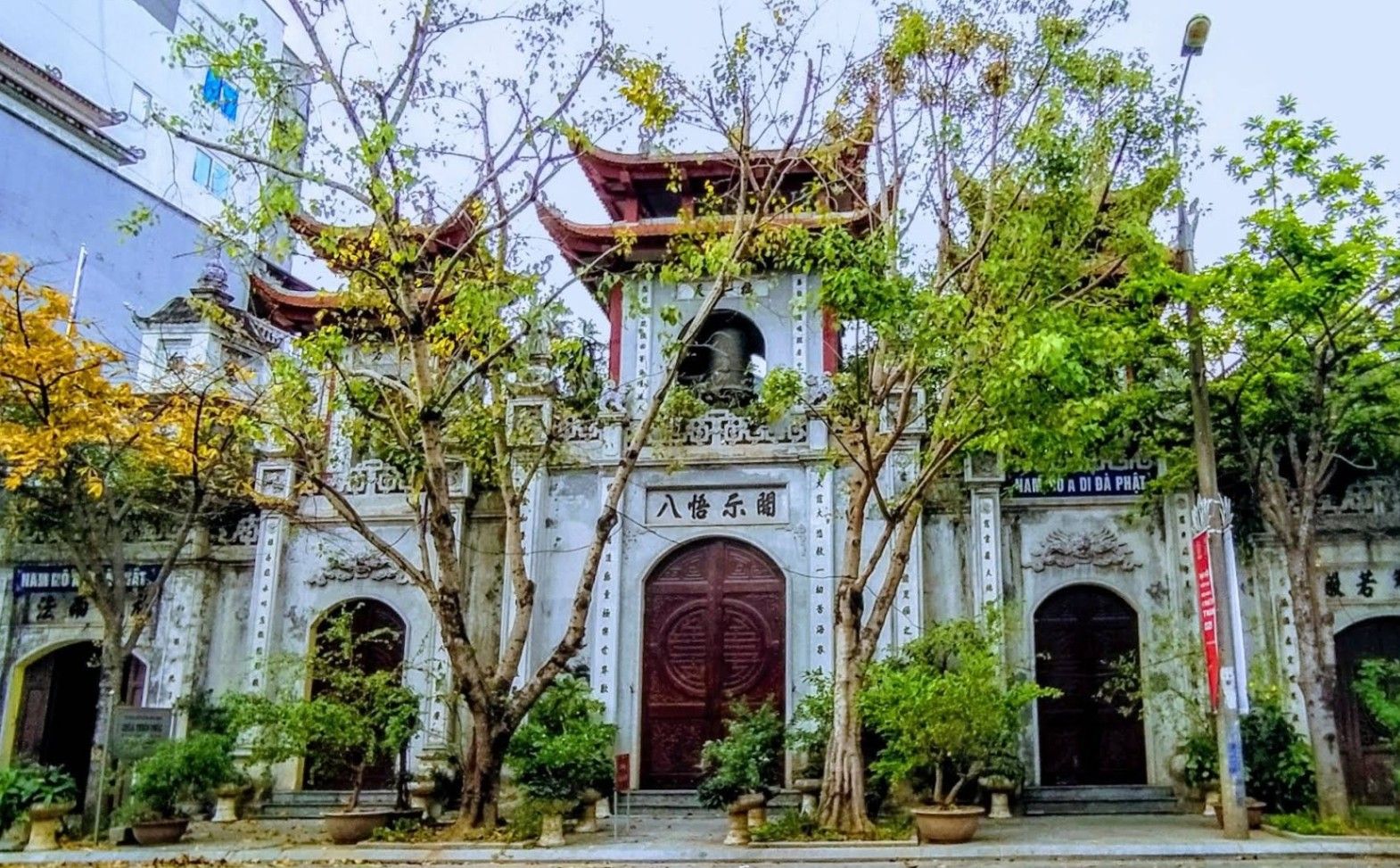 Giới thiệu