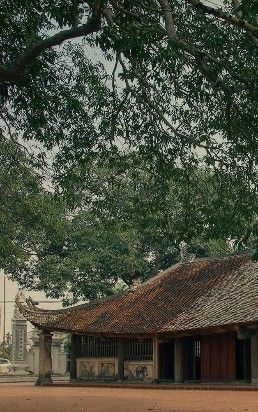 Đình Tảo Dương
