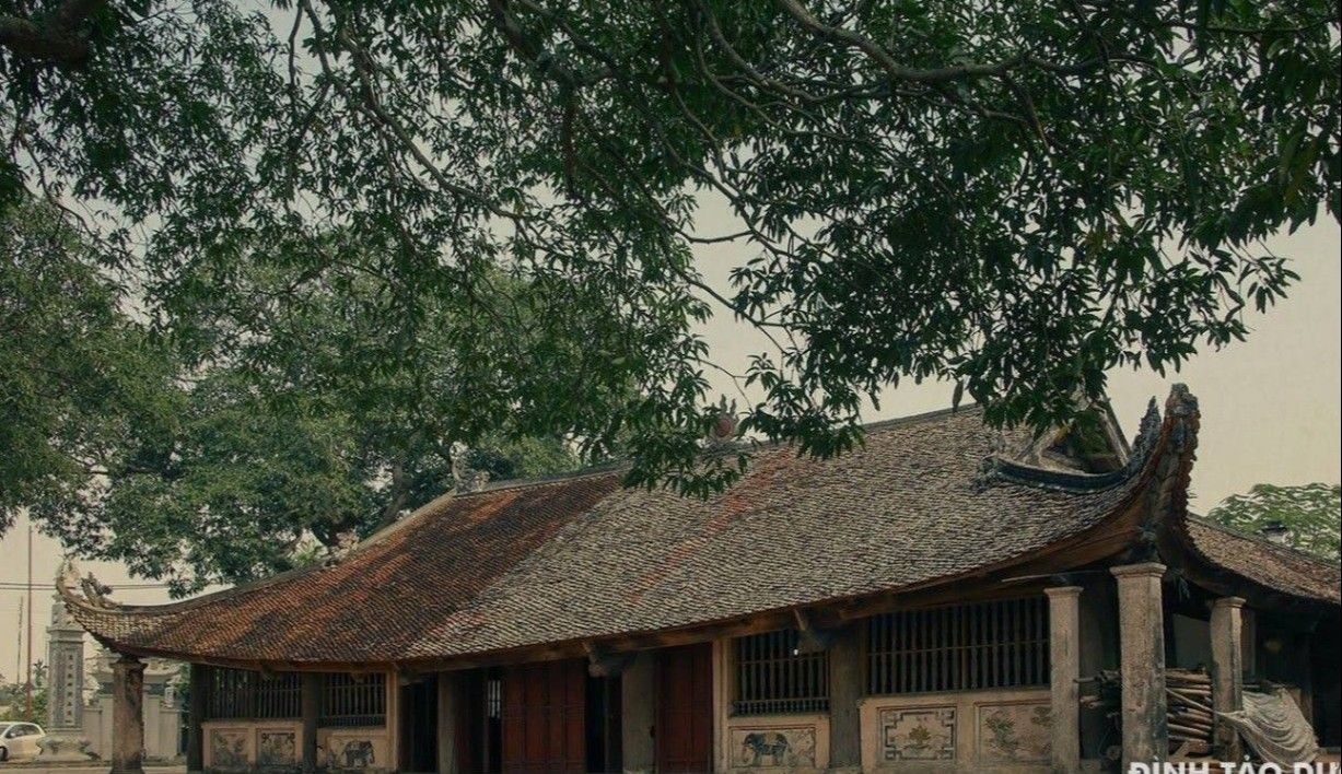 Giới thiệu