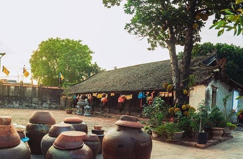 Giới thiệu