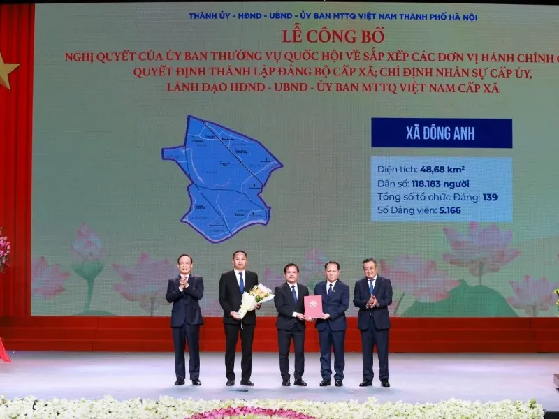 Tổng quan