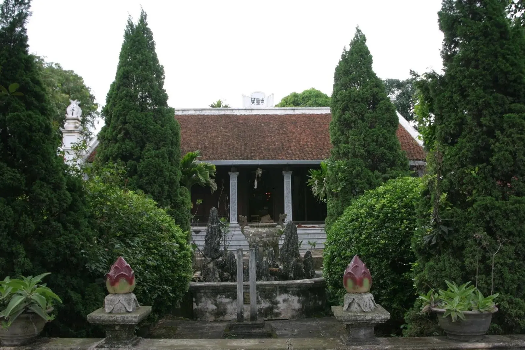 Giới thiệu