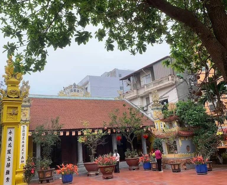 Giới thiệu