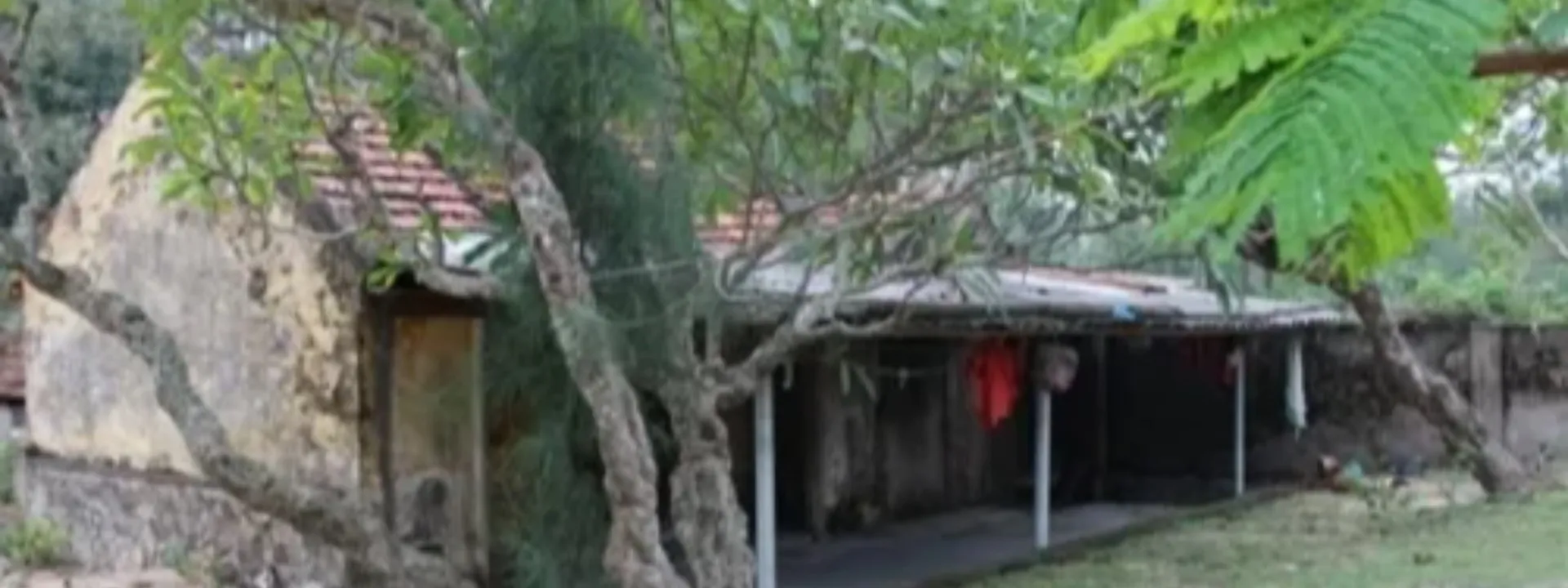 Đền Thần Cô - Thần Cậu