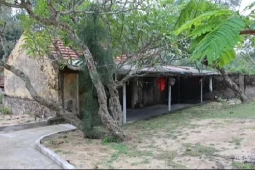 Đền Thần Cô - Thần Cậu