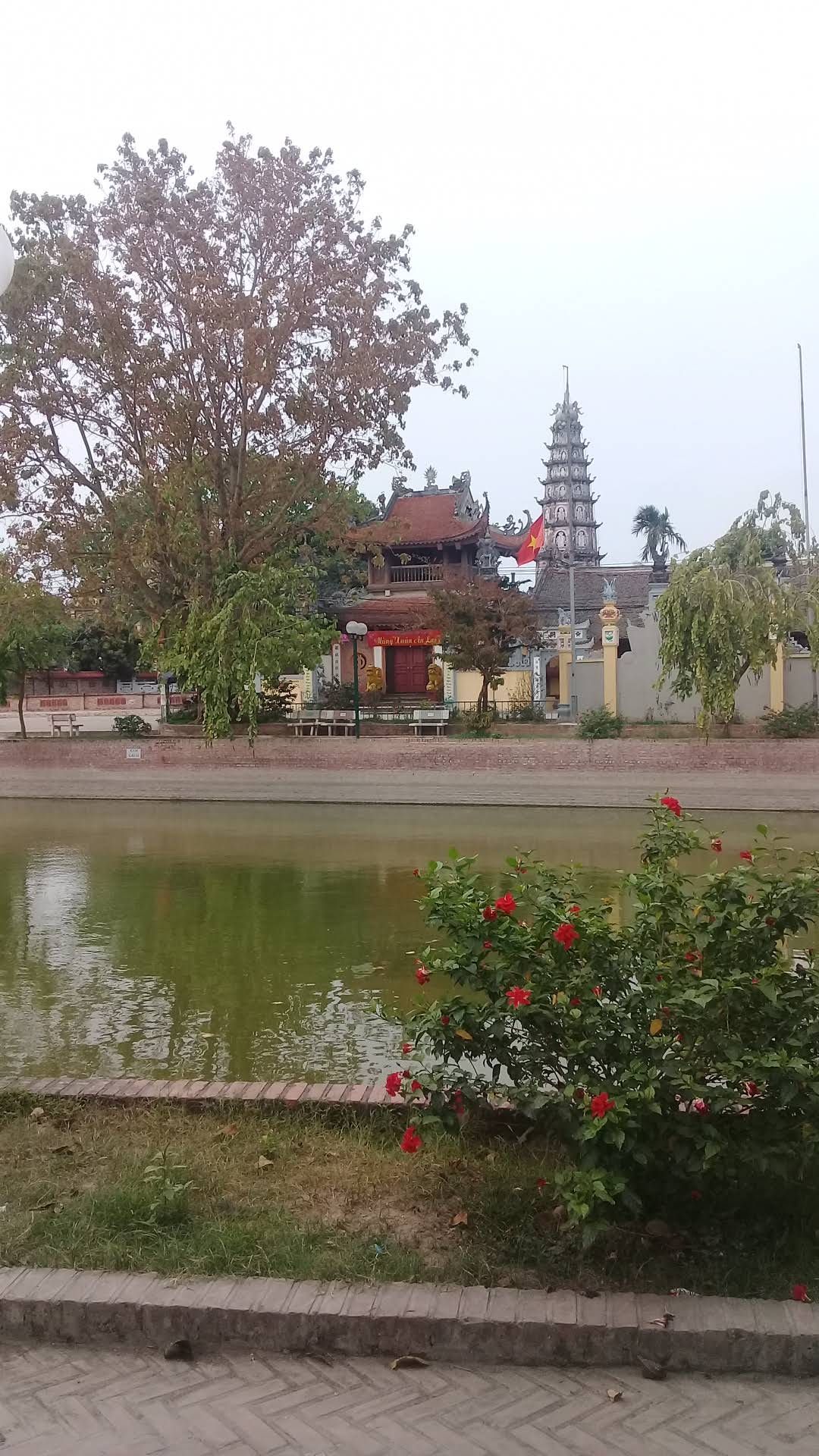 Đình Đại áng