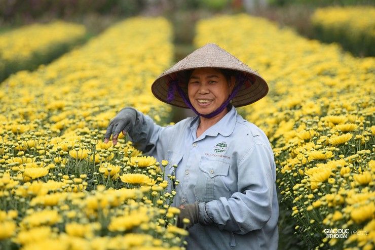 Làng nghề hoa Đại Bái