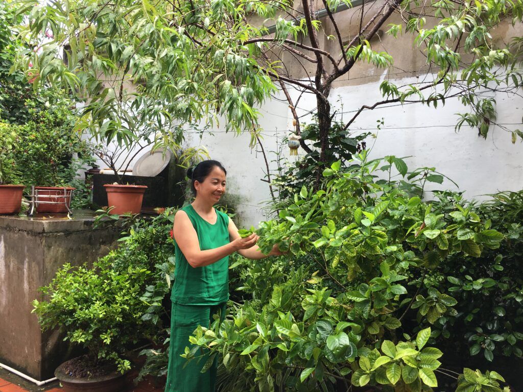 Vũ Thị Hương