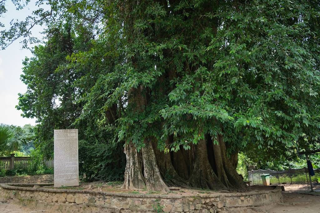 Giới thiệu