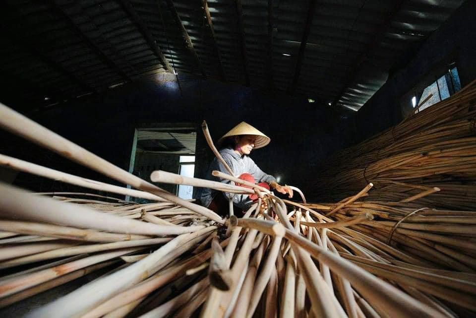 Chọn nguyên liệu mây, tre, giang, nứa
