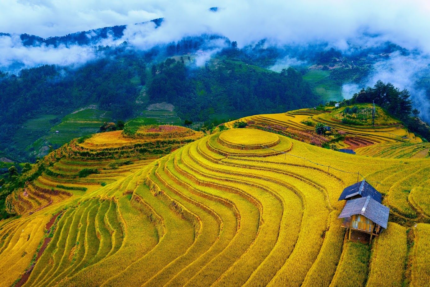 Ruộng Bậc Thang Mù Cang Chải