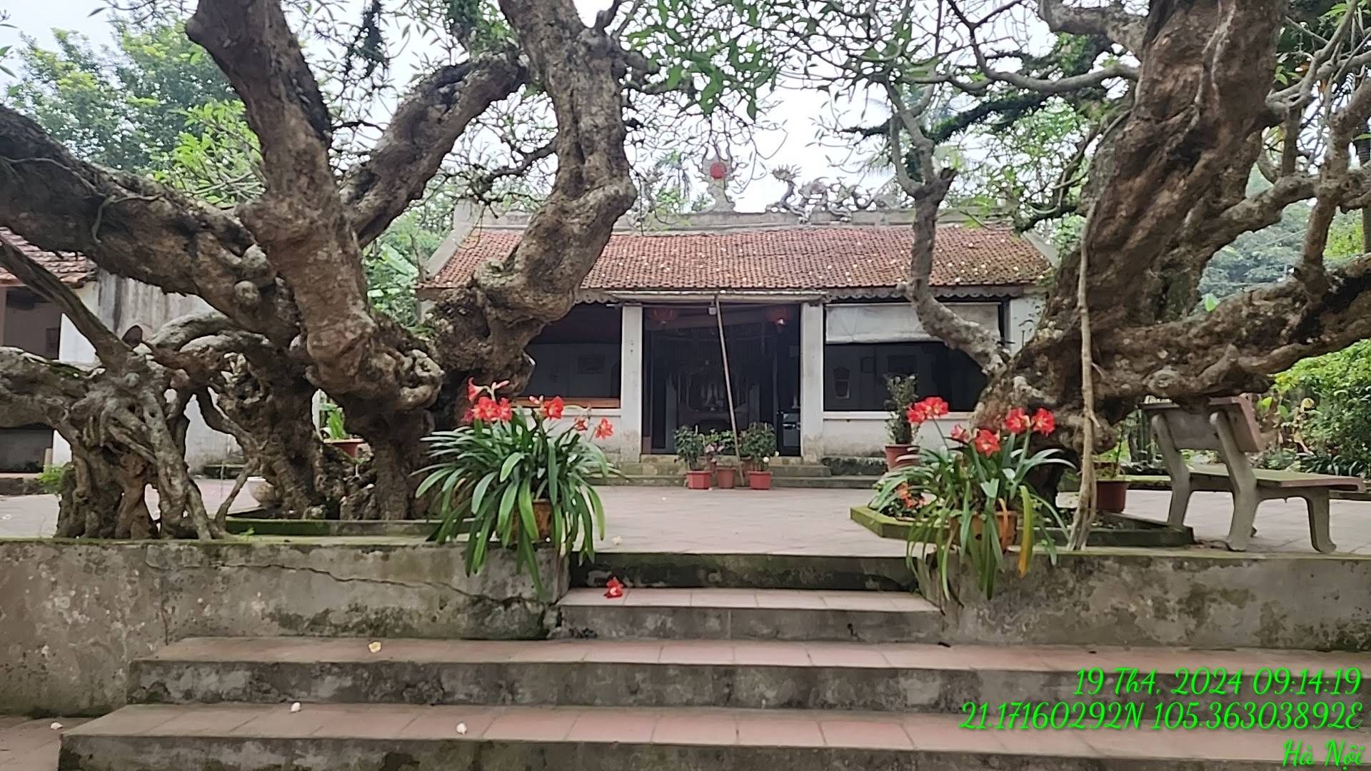 Giới thiệu